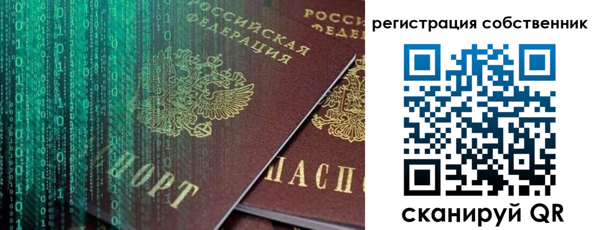 прописка поиск в Долгопрудном